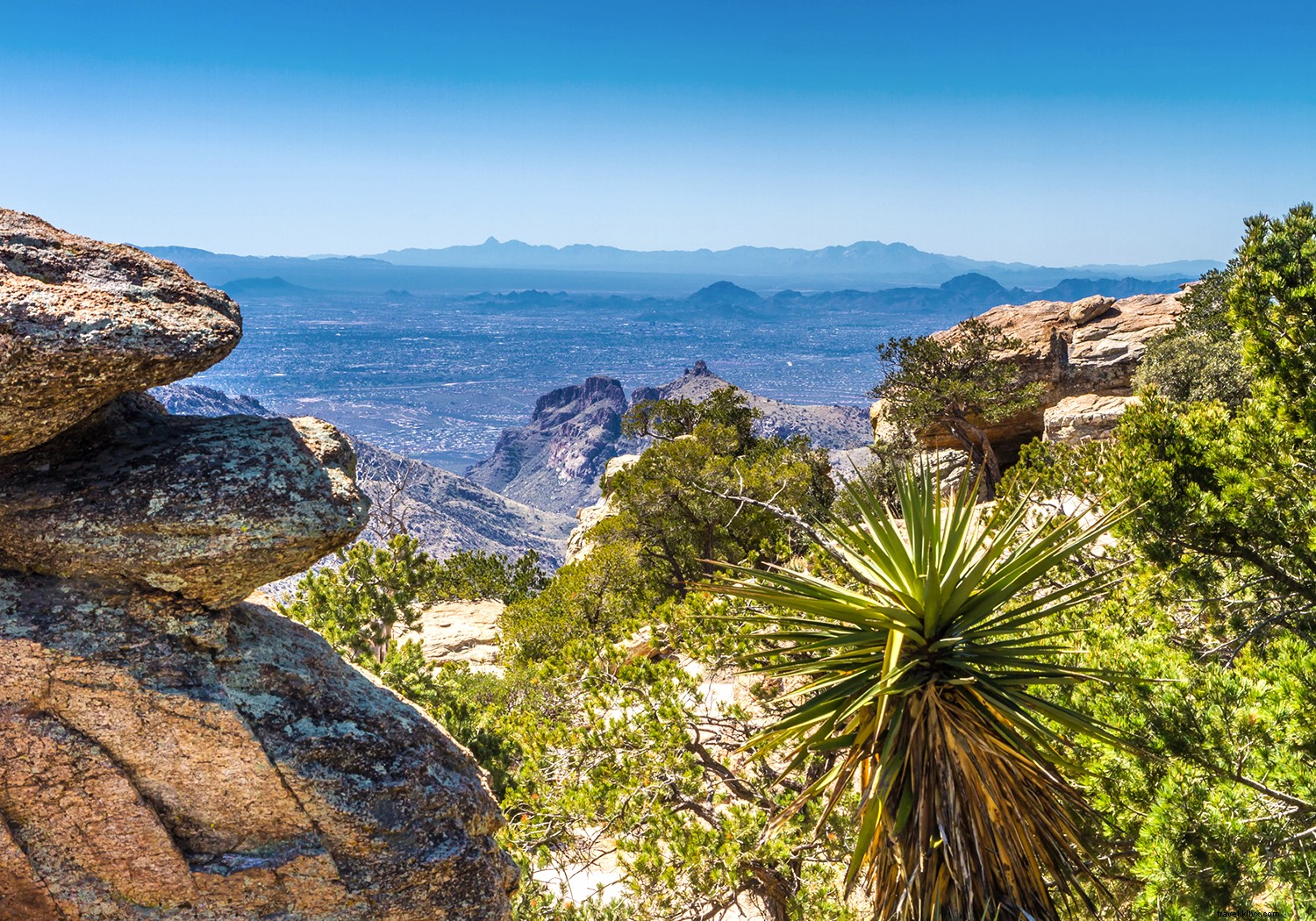 Raih Peak Oasis Vibes di Tucson Musim Gugur Ini 